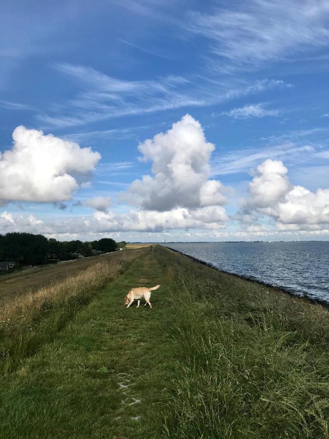 Ijsselmeer Lake Houses Andijk Kültér fotó