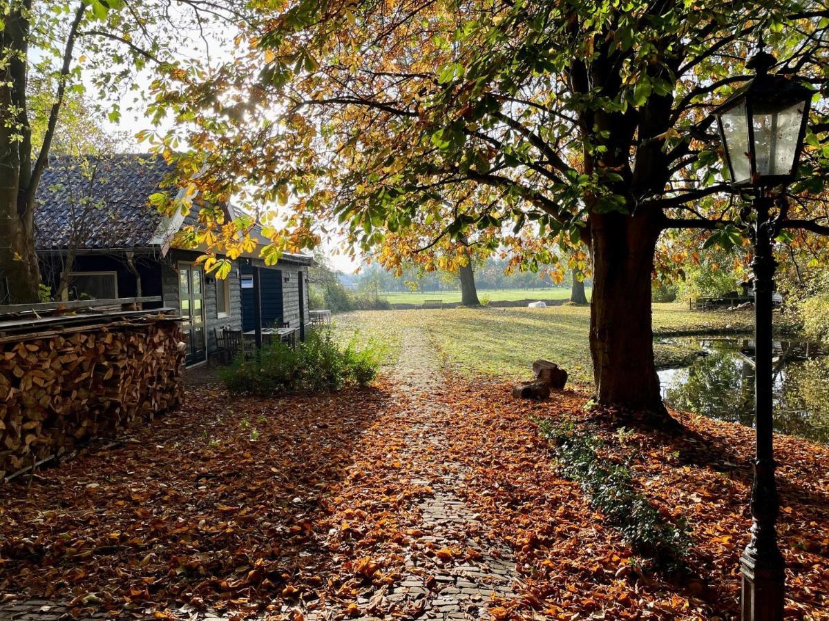 Ijsselmeer Lake Houses Andijk Kültér fotó